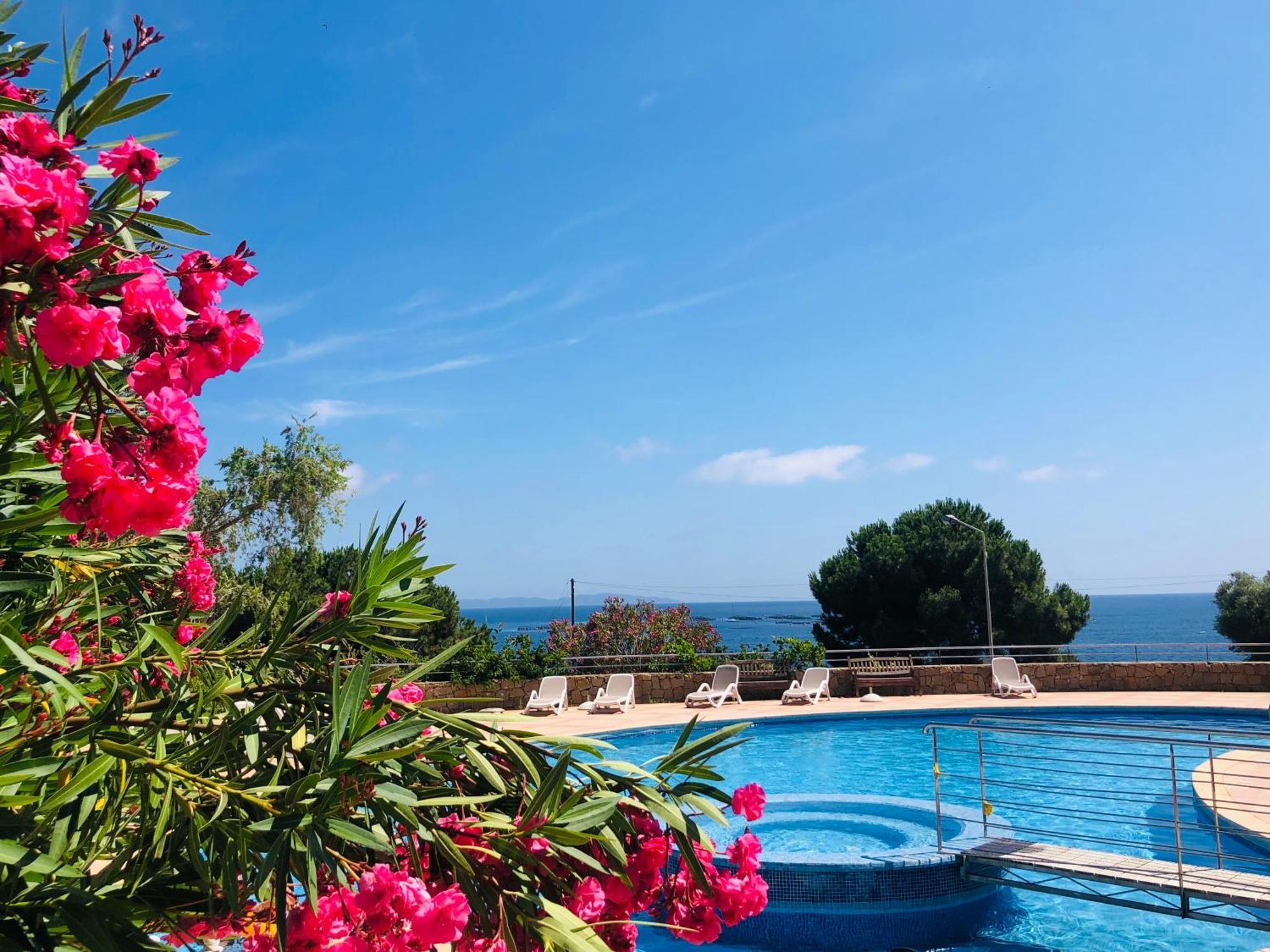 Superbe T2 Vue Mer - Piscine & Plage A 100M Ajaccio  Exterior foto