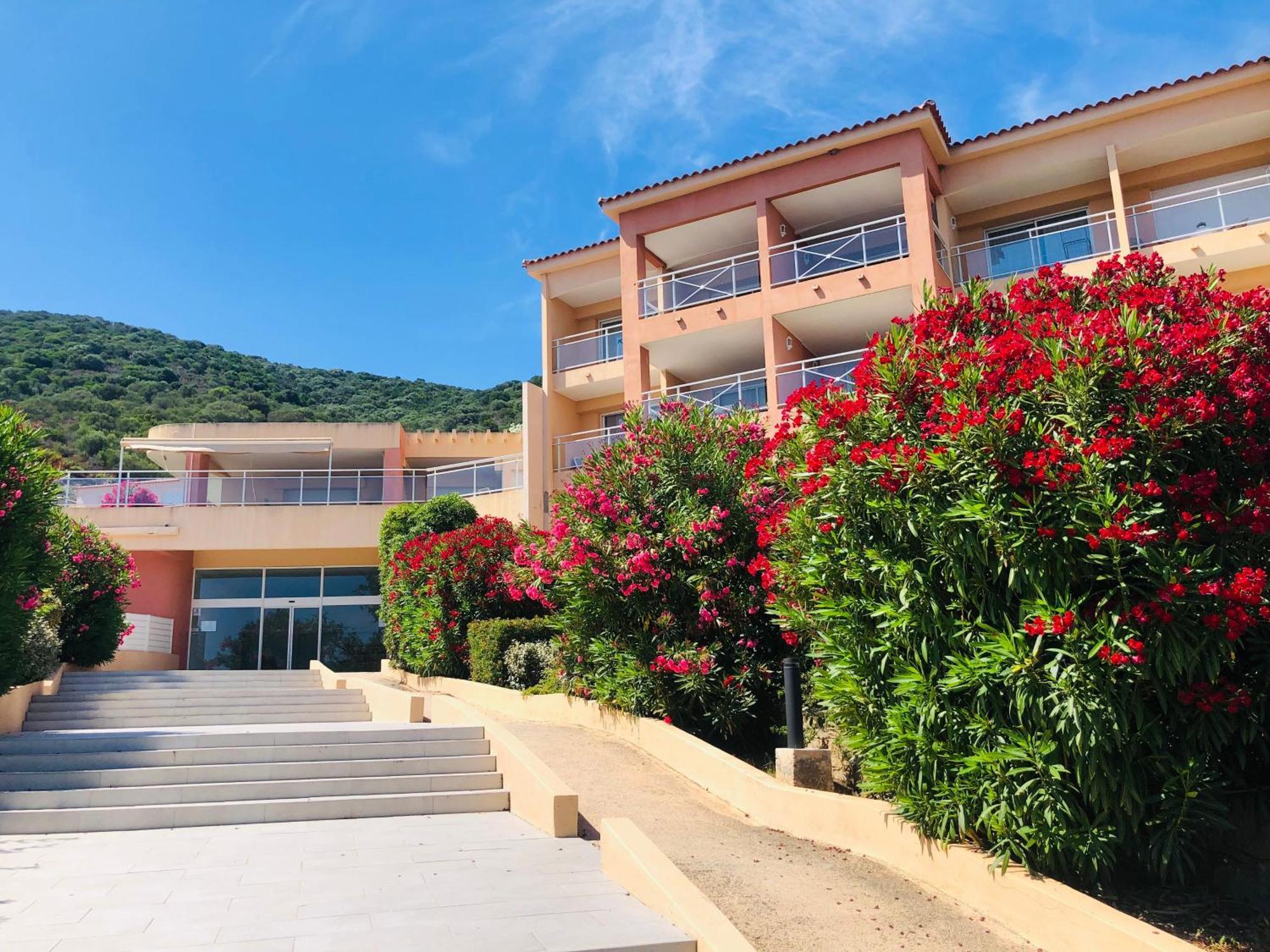 Superbe T2 Vue Mer - Piscine & Plage A 100M Ajaccio  Exterior foto